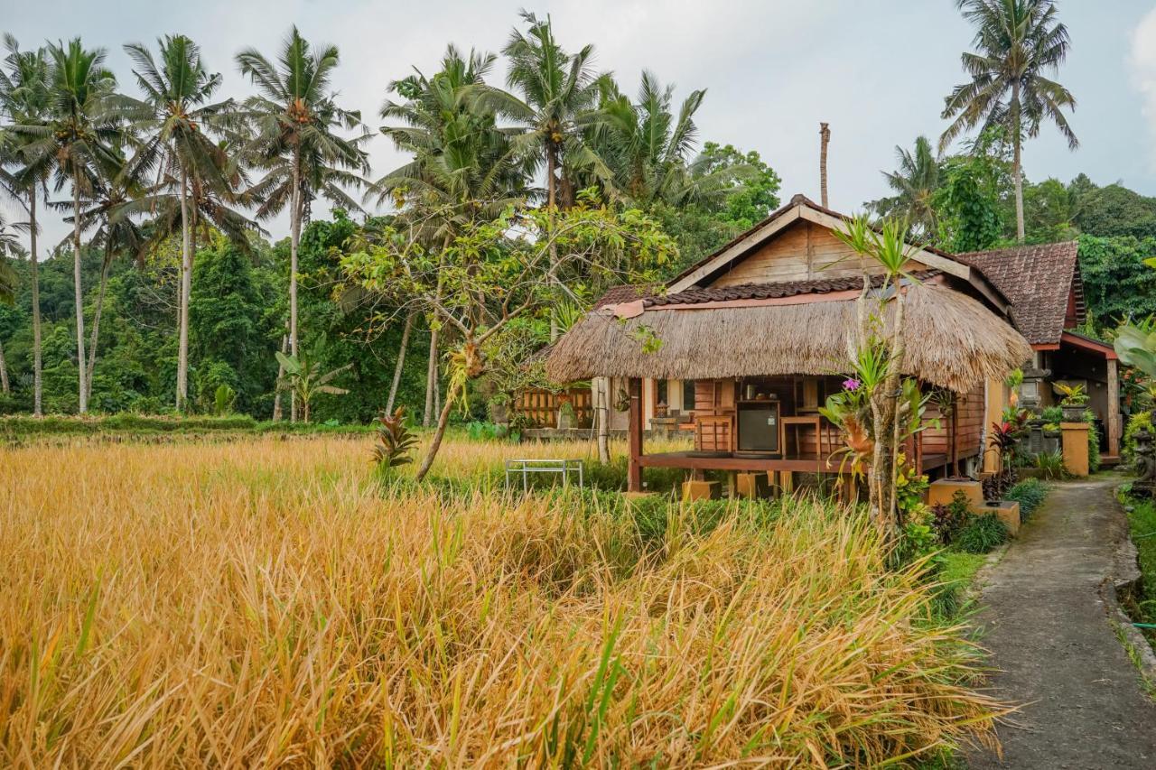 Villa Jj And Spa Ubud Eksteriør bilde