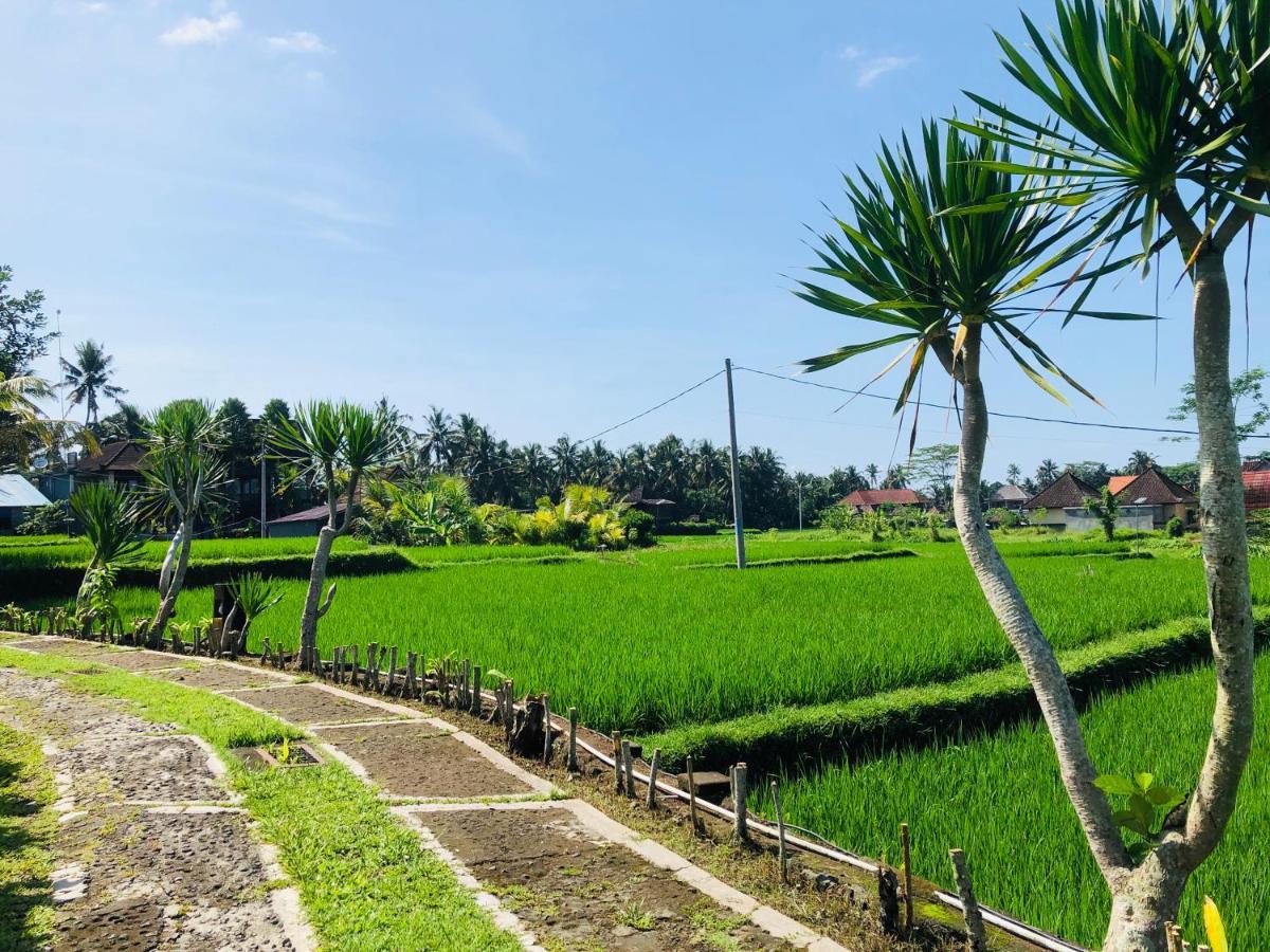 Villa Jj And Spa Ubud Eksteriør bilde