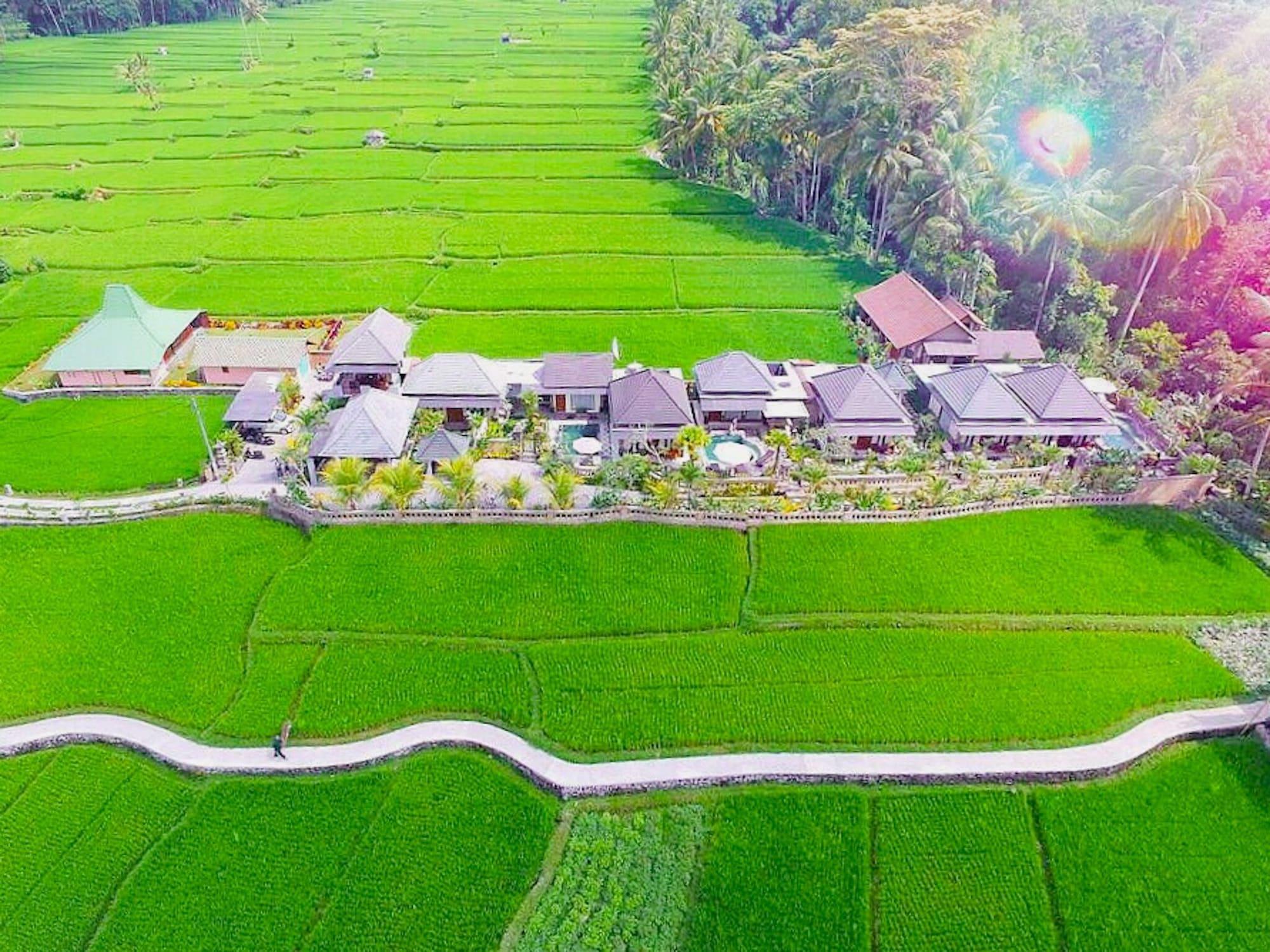 Villa Jj And Spa Ubud Eksteriør bilde